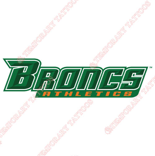 Texas Pan American Broncs Customize Temporary Tattoos Stickers NO.6528